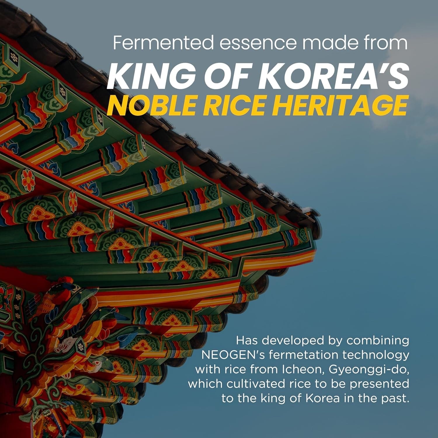 NEOGEN DERMALOGY Real Ferment Micro Essence 5.07 Fl Oz (150Ml) - 93% Naturally Fermented Facial Essence, Instantly Hydrates and Delivers Healthy Supple Skin - Korean Skin Care