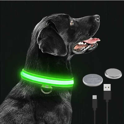 LED glowing dog collar with adjustable strap