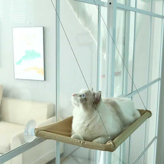 Cozy cat hammock bed mounted by window, perfect for lounging and sunbathing, space-saving design ideal for small homes and happy felines.